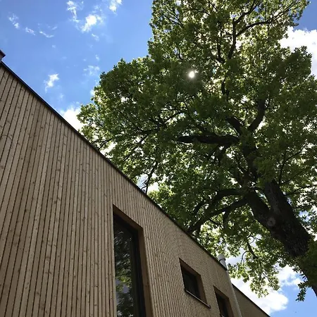Kampenzeit Loft Mit Traumhaftem Panoramablick * アシャウ・イム・キームガウ